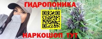 молекула духа Краснодар