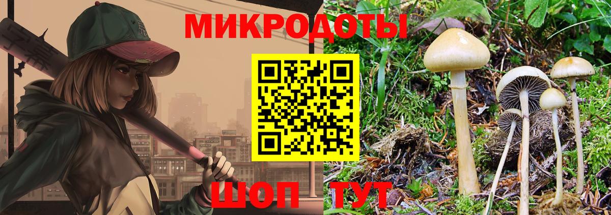 Галлюциногенные грибы Psilocybe  Галлюциногенные грибы Cubensis  Камень-на-Оби  Вход с VPN 